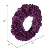 Vickerman 20" Real Touch Hydrangea Wreath - 3 of 4