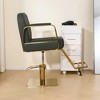 LOVMOR 360° Swivel Reclining Salon Barber Chair with Heavy Duty Hydraulic Pump for Hair Stylists Home Barbershops - 2 of 4