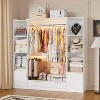 PAKASEPT 64.9" W Freestanding Walk-in Closet Organizer System with 6 Storage Cabinet & Hanging Rods & 2 Wood Drawers and Led Light - 3 of 4