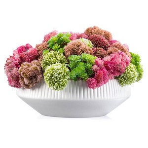 Waterdale Collection - Succulent Pink White Flower Pot - 1 of 3