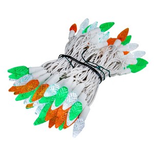 Novelty Lights C6 LED Christmas String Lights 70 Strawberry Bulbs (Green Wire, 24 Feet) - 1 of 4