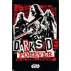 Trends International Star Wars: The Dark Side - Forever Unframed Wall Poster Prints - 4 of 4