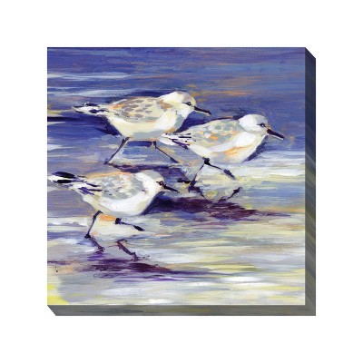 Cottage Garden West of The Wind SANDPIPERS Blue, White, Yellow 24 x 24 Inch Waterproof Gallery Wrapped Canvas, Outdoor Garden, Yard, Patio All Weather
