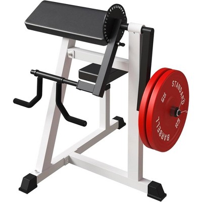 ER KANG Bicep Tricep Curl Machine, Plate Loaded Bicep Curls & Tricep Extension Machine, 2 in 1 Exercise Equipment Home Gym Workout Station