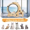 Cat Exercise Wheel for Indoor, Cat Running Wheel with Climbing Ladders & Scratching Board, Ultra Quiet Cat Treadmill Wheel for Daily Fitness - 4 of 4