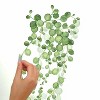 36.5" x 9" String of Pearls Vine Peel and Stick Wall Decal - RoomMates - image 3 of 4