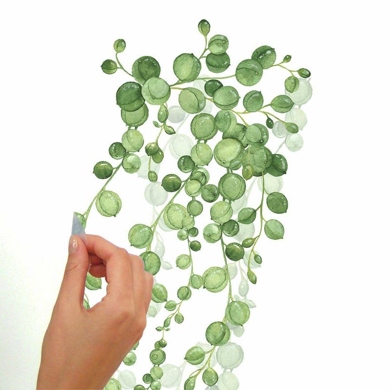 36.5&#34; x 9&#34; String of Pearls Vine Peel and Stick Wall Decal - RoomMates, 4 of 9
