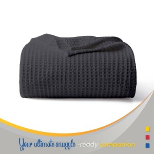 Color Sense 100% Cotton Warm & Cozy Super Soft Antimicrobial Waffle Weave Blanket - 1 of 4