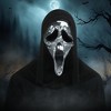 Fun World Scream Ghost Face Mirror Adult Costume Mask - 3 of 4