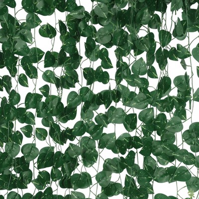 green_pothos leaves