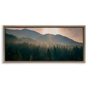 Stupell Industries Morning Sun over Misty Trees, 25" x 11" - 1 of 4
