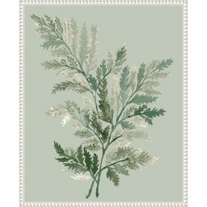 Amanti Art Tonal Green Ferns I by Elizabeth Medley Canvas Wall Art Print Framed 16 x 20-in. - 1 of 4