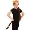 HalloweenCostumes.com    Disney Winnie the Pooh Tigger Plush Headband & Tail Costume Kit, Black/Orange/Brown - 2 of 4