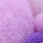 dark purple, purple, white