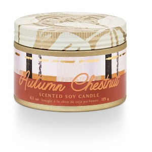 Storied Home Tried & True Autumn Chestnut Small Tin Candle - 1 of 1