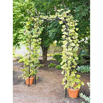 Gardeners Supply Company Titan Arch Arbor Garden Trellis | Sturdy Tall Garden Arch Plant Support for Climbing Plants, VInes and Flowers | Elegant
