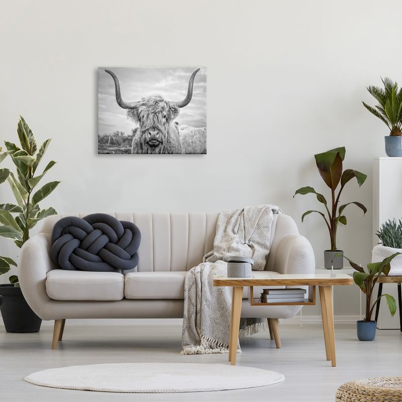 Stupell Industries Black and White Highland Cow Photograph, 3 of 6