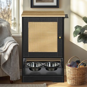 Bella Depot 20.47'' Pet Feeding Station with 1 Storage Cabinets Pet Feeding Station with 2 Elevated Dog Bowls - 1 of 4