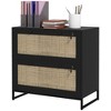 Vinsetto 2 Drawer File Cabinet with Lock, Vertical Filing Cabinet with Keys and Adjustable Hanging Bar for Letter, A4 and Legal Size - 4 of 4
