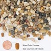 GASPRO 5 Pound Pebbles for Indoor Plants, 3/8 Inch Decorative Rocks for Vase, Succulents, Highly Polished, Mixed Color - 2 of 4