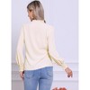 Allegra K Women's Vintage V Neck Long Sleeve Ruffle Collar Blouses - 3 of 4