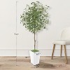 Artificial Eucalyptus Tree, Faux Eucalyptus Tree with Tall White Planter - 3 of 4