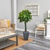 HomeStock  5 ft. Artificial Tree in Planter for Indoor/Outdoor - 3 of 3