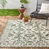 Country Ayala Indoor/Outdoor Rug - Nicole Miller - image 2 of 4