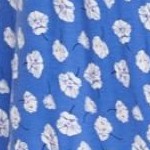 royal periwinkle floral