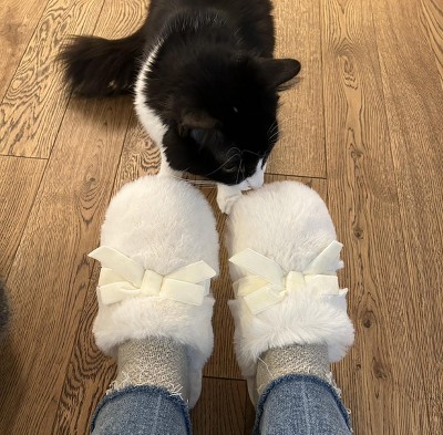 Guest review image 1 of 1, zoom in