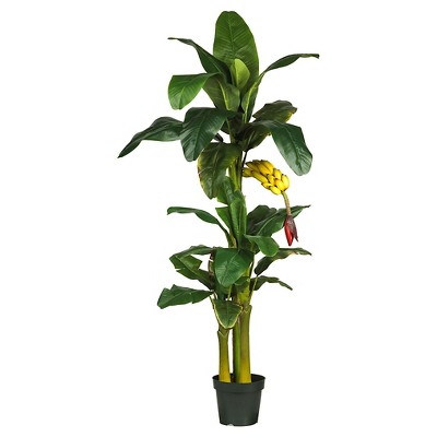 Nearly Natural Triple Stalk Banana Silk Tree (6")