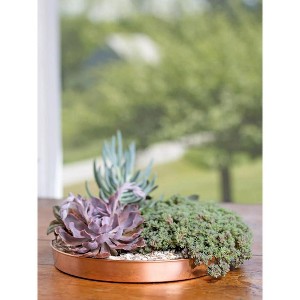 Gardener's Supply Company Medium Round Copper Plant Tray | 12 Inch Decorative Succulent Plant Display - 1 of 4