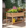 Raised Garden Bed On Wheels, Elevated Wooden Planter Box with Legs and Storage Shelf, Mobile Planter Box for Vegetables, Flowers, Outdoor Patio - 2 of 4