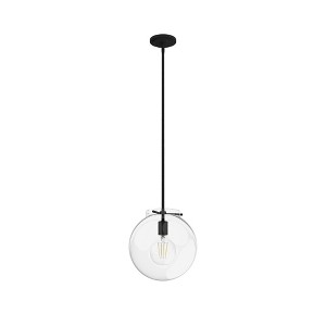 Hunter Fans Sacha 1 - Light Pendant in  Natural Iron - 1 of 1