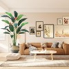 6/7FT Artificial Bird of Paradise Palm Tree – Realistic Faux Plant with 17/20 Trunks & Flower Options for Indoor/Outdoor Modern Decor (1 or 2 Pack) - 4 of 4