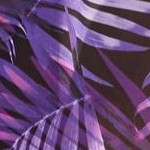 purple electric palm