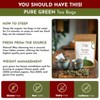 Pure Green Tea Bags | Caffeine-Free Pyramid Tea Bags, 100% Natural Ingredients, ECO Conscious Packaging | 4.5 Oz (Pack of 50) - 3 of 4