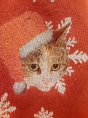 Cat christmas hot sale sweater target