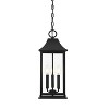 Elegant Lighting Shepard 8 x 20.5 inch Outdoor Pendant in Black - 3 of 4