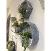 Slickblue Stylish Metal Wall Planters with Zinc Finish – 2 Unique Shapes - 2 of 3