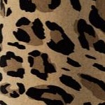 natural bold leopard