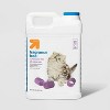 Fragrance Free Scoopable Clumping Cat Litter 20lbs Up Up