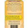 Yogi Tea Sweet Ginger Citrus Turmeric Vitality - 16 Bags per Pack 6 Packs - 2 of 2