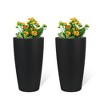 Grungis Planters with Automatic Watering for Outdoor Plants,Faux Rattan Tall Planters with Water Level Monitor Inner Bucket,2PCS - 2 of 4