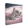 Stupell Industries Soft Kitten Tucked In Canvas Wall Art - 3 of 4