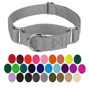 Country Brook Petz Martingale Heavyduty Training Collar with No Buckle - Service Collar for All Dogs - Vibrant, Colorful Collection - 1 of 4
