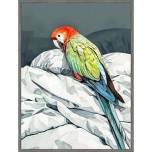 Amanti Art Animal Watercolor Art Bird Sleeping Parrot by Justyna Jaszke Framed Canvas Wall Art - 1 of 4