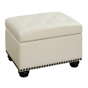 Designs4Comfort 5th Avenue Storage Ottoman - Breighton Home - 1 of 4