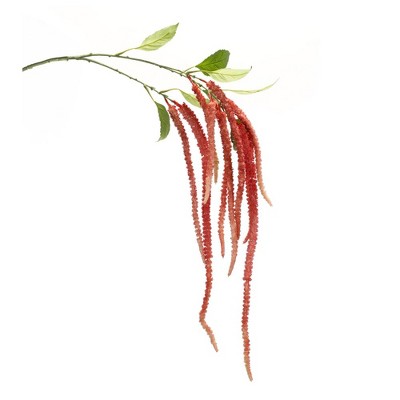 Melrose Amaranthus Floral Stem (Set of 4)