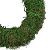 Northlight Green Moss and Twig Artificial Spring Wreath, 12-Inch - 4 of 4